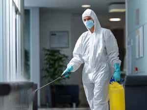 Servicii Profesionale DDD - Dezinsecție, Dezinfecție, Deratizare